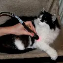 Globus LaserVet 8.0